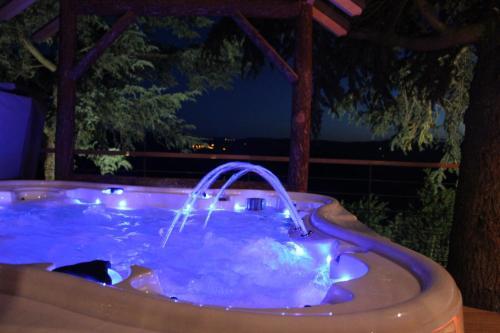 Hostal Domaine Des Grands C�dres - Maison D'h�tes