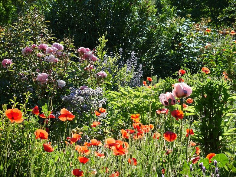 Bed & Breakfast Il Melograno