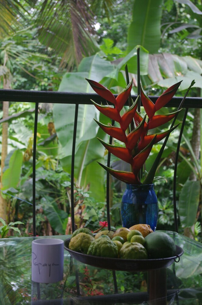 Hotel Papaya Guesthouse