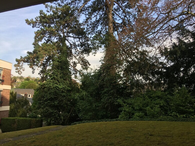 Apartamento Cosyrouen Jouvenet