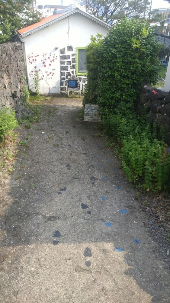 Hostal Sekki Guesthouse - Hostel