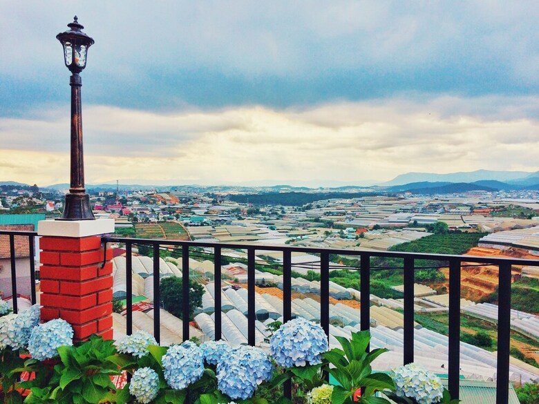 Hotel Hai A Homestay