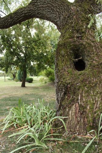 Bed & Breakfast Le R�zinet - Chambres D'h�tes
