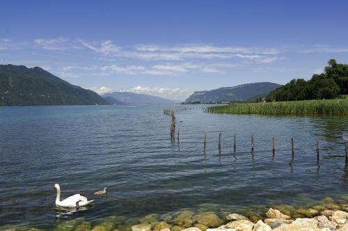 Hotel Ibis Budget Aix Les Bains - Gr�sy