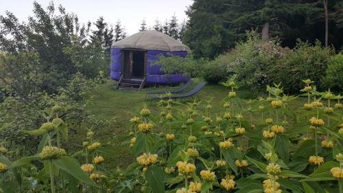 Bed & Breakfast La Crois�e Des Fleurs
