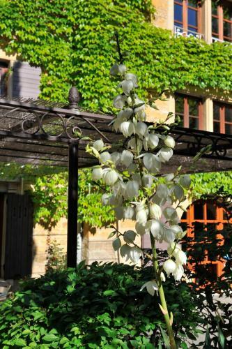 Bed & Breakfast L'aube Du Moulin