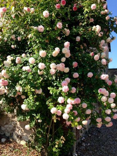 R�sidences Le Clos Du Manoir