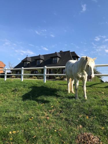 Bed & Breakfast Chambre D'h�te La Roseraie