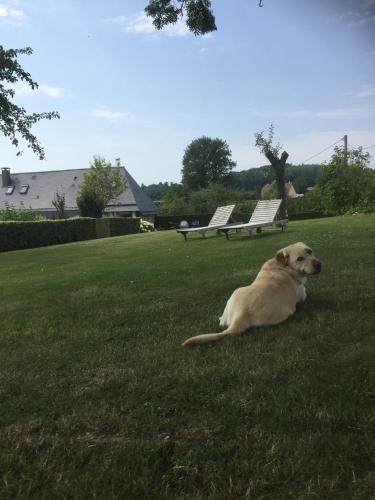 Bed & Breakfast Chambre D'h�te La Roseraie