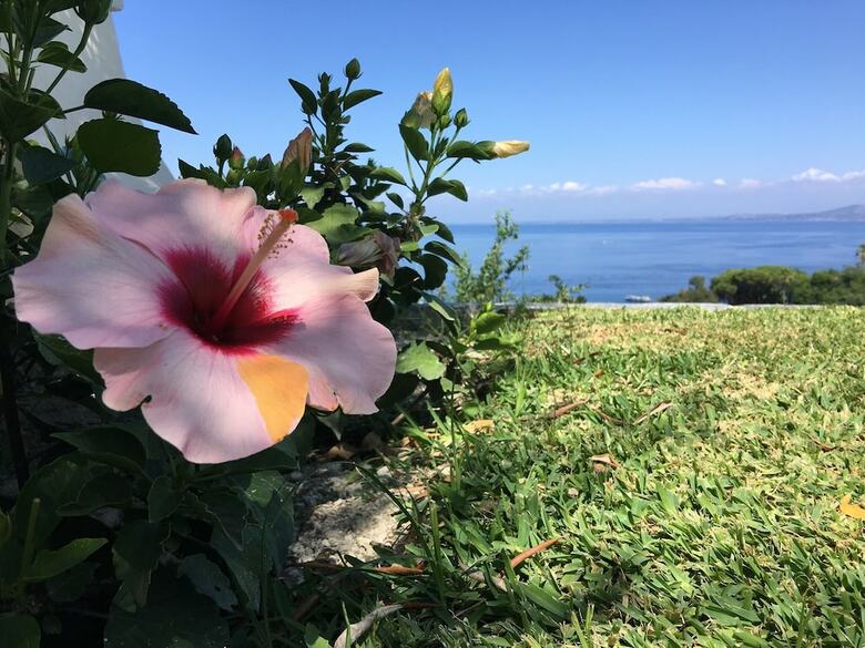 Hotel Agapanto Luxury Accommodation