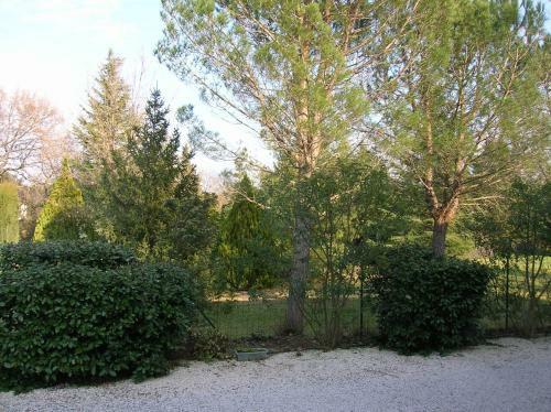 Hostal Chambres D'h�tes Le Mas Des Vignes Dions