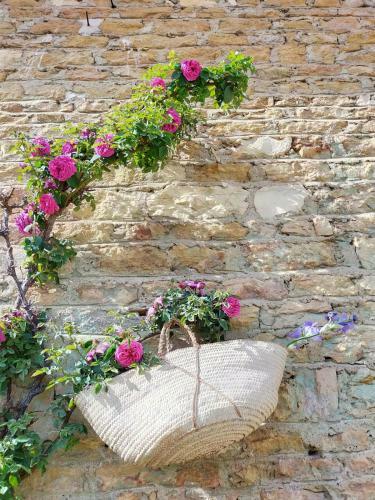 Bed & Breakfast Ch�teau De La Venerie
