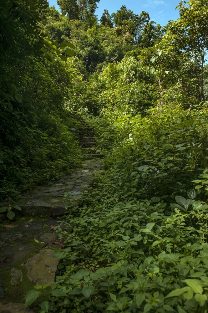 Hotel Haut Monde Hill Stream Resort