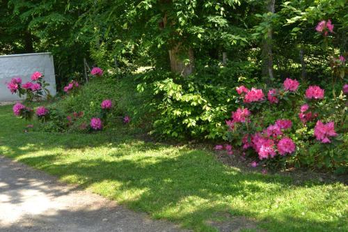 Bed & Breakfast Maison D'h�tes La Chouanniere