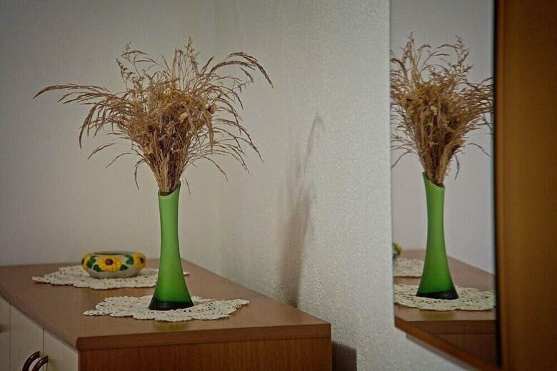Apartment Diana Postira / Two Bedroom A1