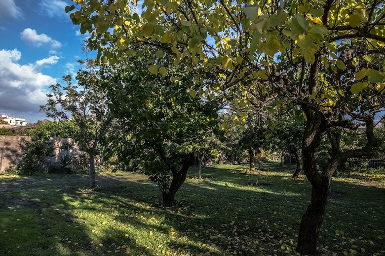 Apartamento Villa Vesuviana