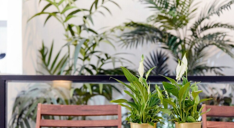 Apartamentos Charming La Latina Green