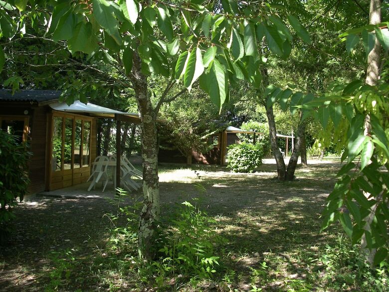 Camping Le Petit Lion - Lodges Bois