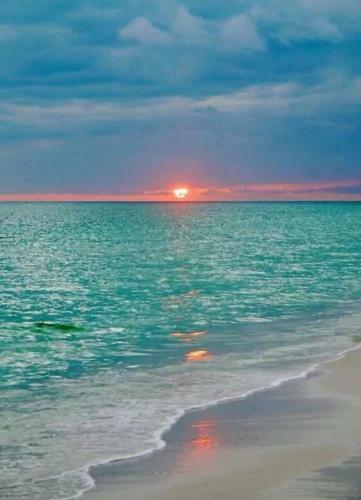 Apartamentos Beautiful Property In Hallandale Beach!!!