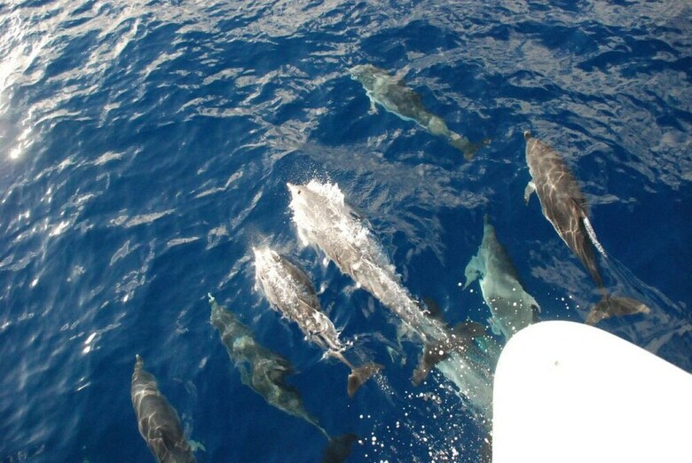 Lufinha Yacht Charter