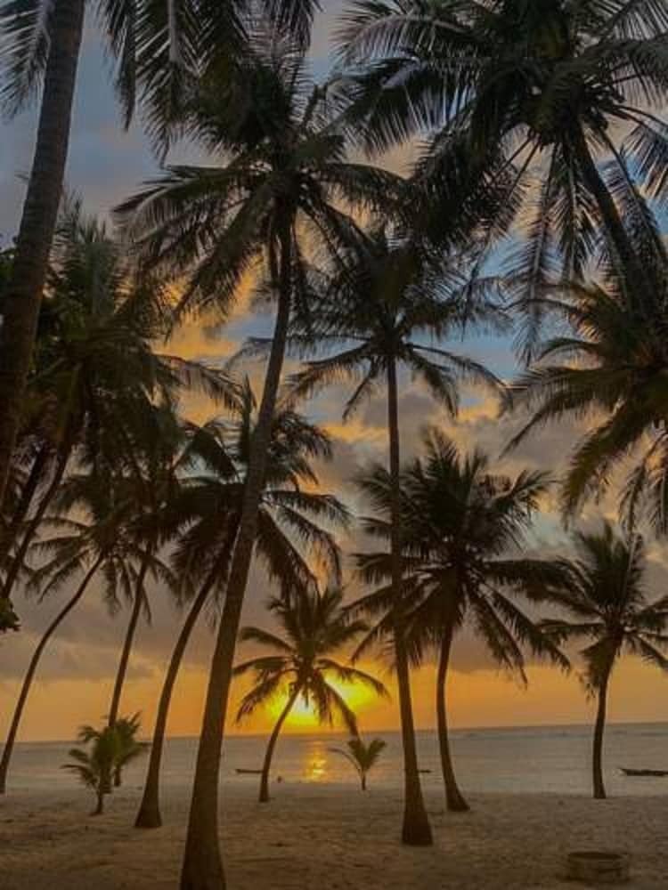 Hotel The Coconut Beach Boutique Lodge & Spa