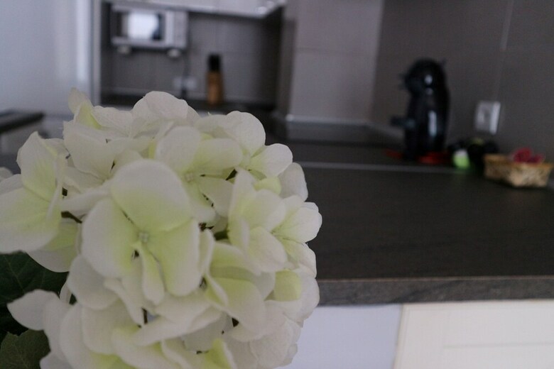 107466 - Apartment In Fuengirola