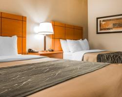 Hotel Comfort Inn Metro Airport