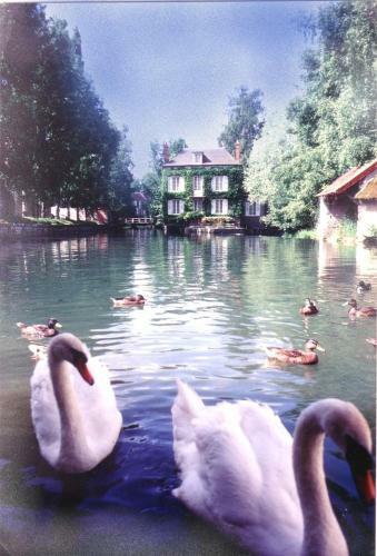 Hotel Logis Le Grand Monarque - Donzy