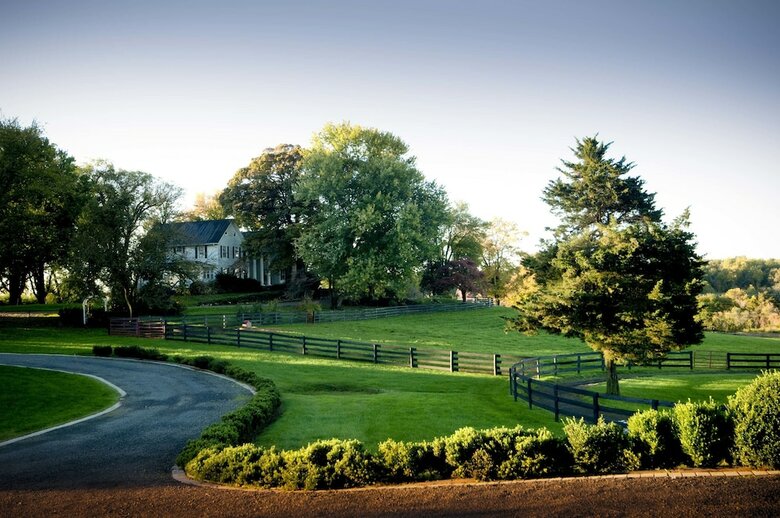 Bed & Breakfast Black Horse Inn