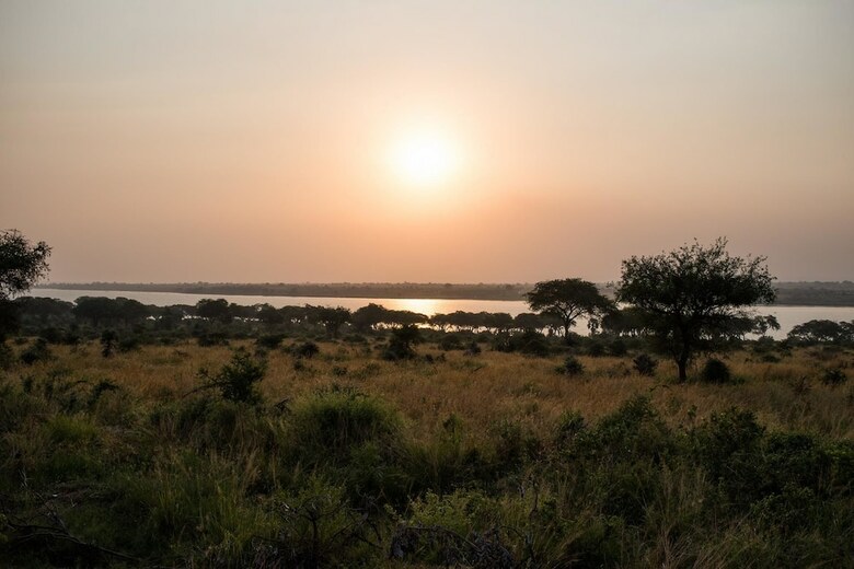 Posada Pakuba Safari Lodge