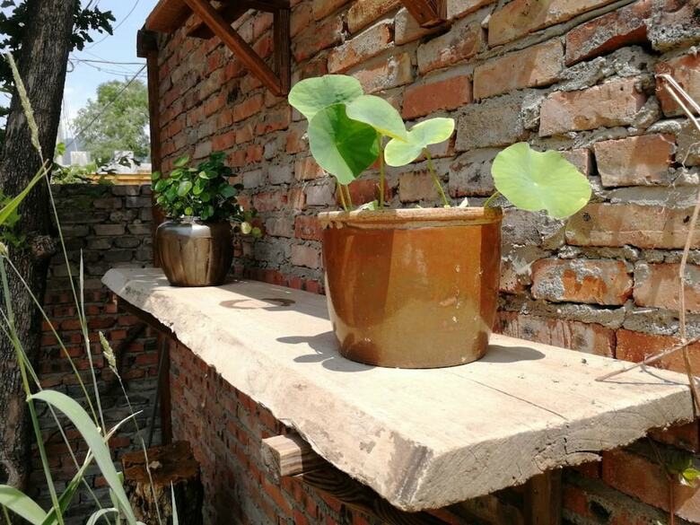 Hotel B&B  Under  Greatwall