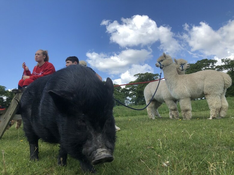 Northlands Farm & Lakes
