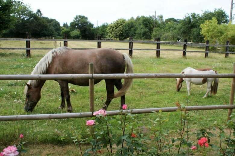 Bed & Breakfast Aux Agapanthes