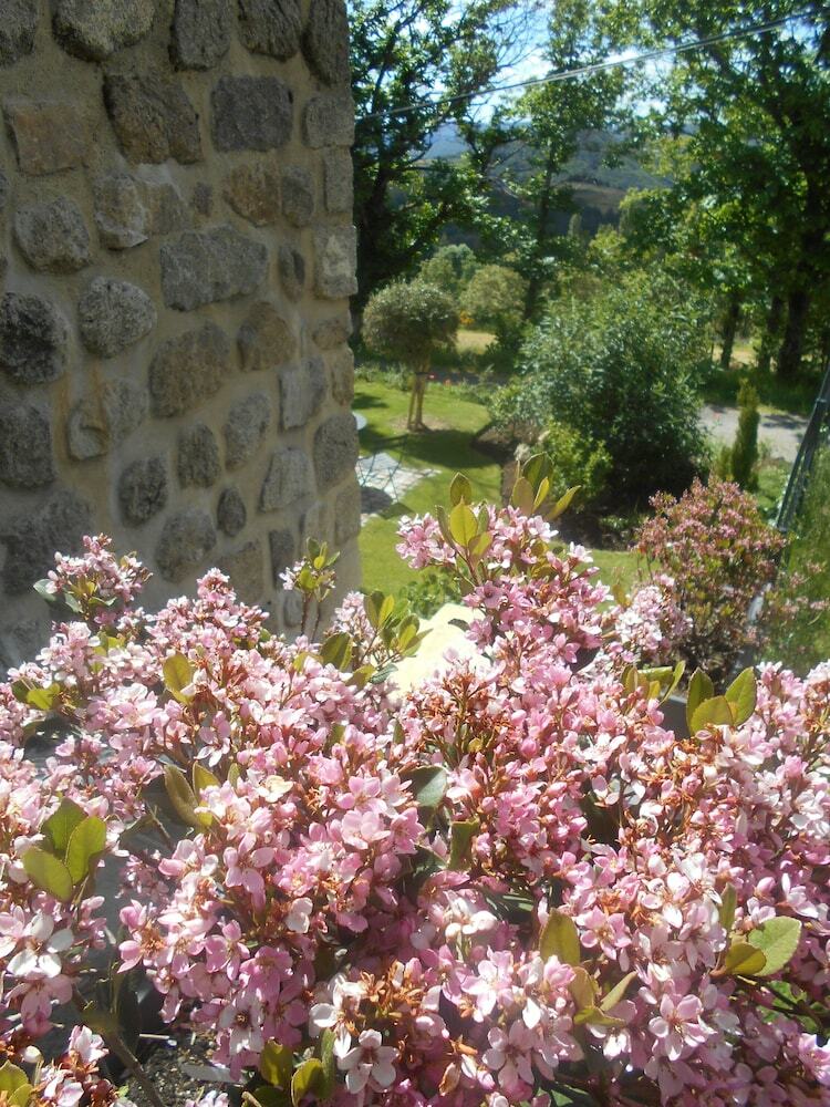 Bed & Breakfast Chambres D'hotes Les Palmiers