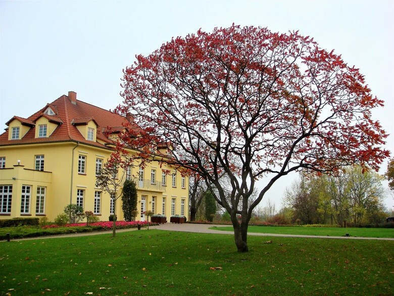 Hotel H&s Seeresort Gut Gremmelin