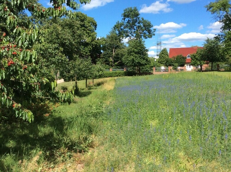 Hotel H&s Seeresort Gut Gremmelin