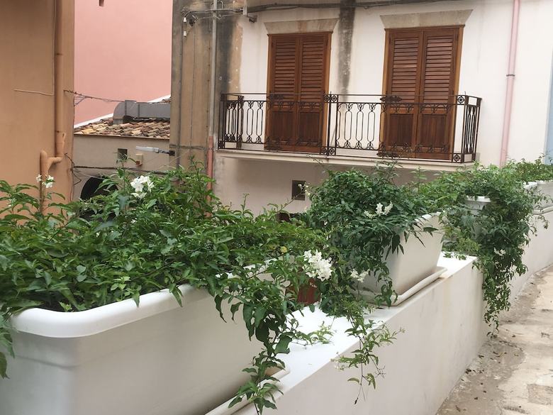 Apartamento Appartamento Del Marinaro