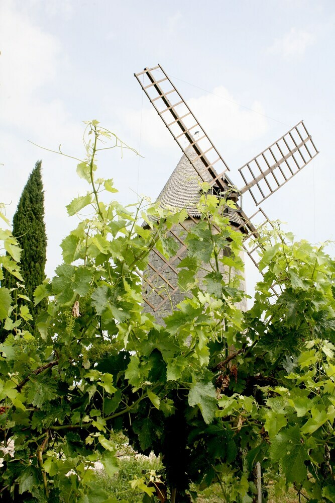 Bed & Breakfast Au Coeur Des Vignes