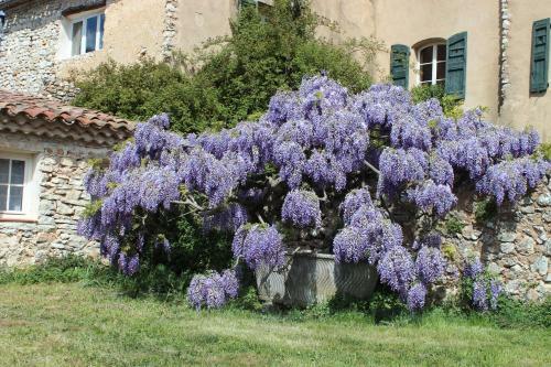 Hostal Domaine De La Blaque - B&B