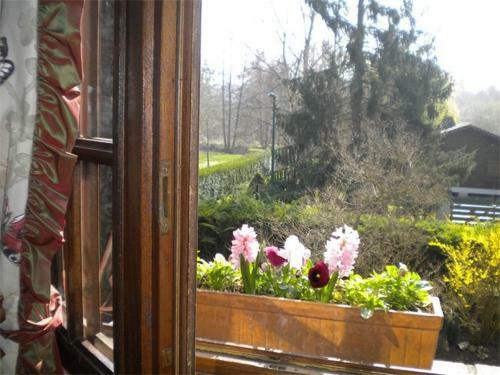 Bed & Breakfast Aux Marguerites