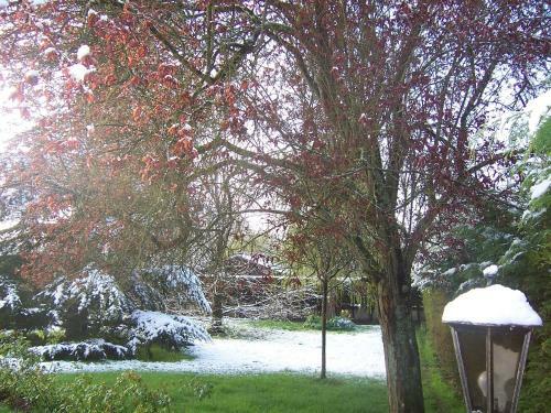 Bed & Breakfast Aux Marguerites