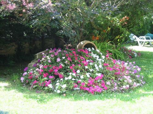 Bed & Breakfast Aux Marguerites