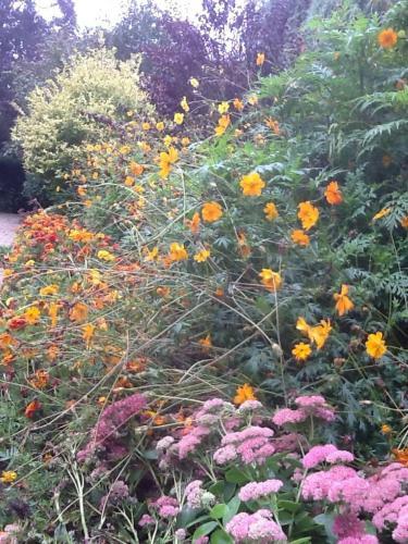 Bed & Breakfast Aux Marguerites
