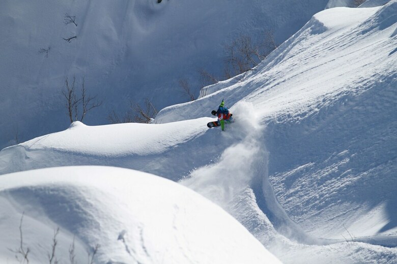 Villa Antelope Hakuba