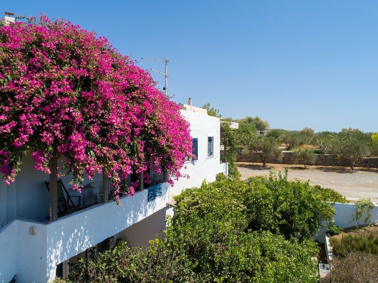 Margarita Apartments