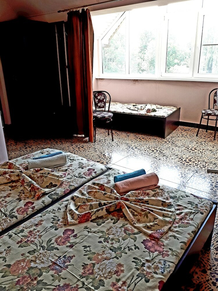 Hotel Rodnichok Guest House