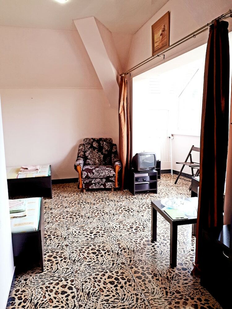 Hotel Rodnichok Guest House
