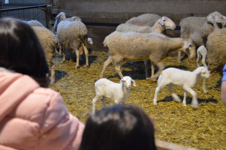 Agroturismo El Retiro de La Mancha