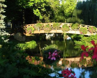 Hotel Les Saules Parc & Spa