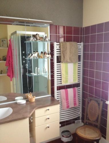 Bed & Breakfast Ch�teau De Villars